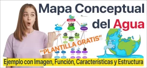 Mapa Conceptual del Agua (Ejemplo, Estructura y Plantilla) | Sitio Web Oficial mapaconceptual.com.es