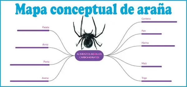 Tipo de Mapa Conceptual: Araña | Sitio Web Oficial mapaconceptual.com.es